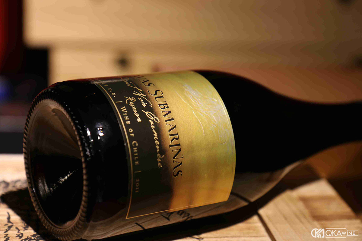 Vì sao Carmenere gắn liền với vang Chile?