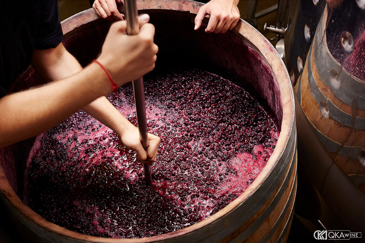 Vì sao nhà làm vang chọn malolactic fermentation?