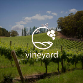 Vineyard là gì trong rượu vang?