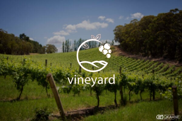 Vineyard là gì trong rượu vang?