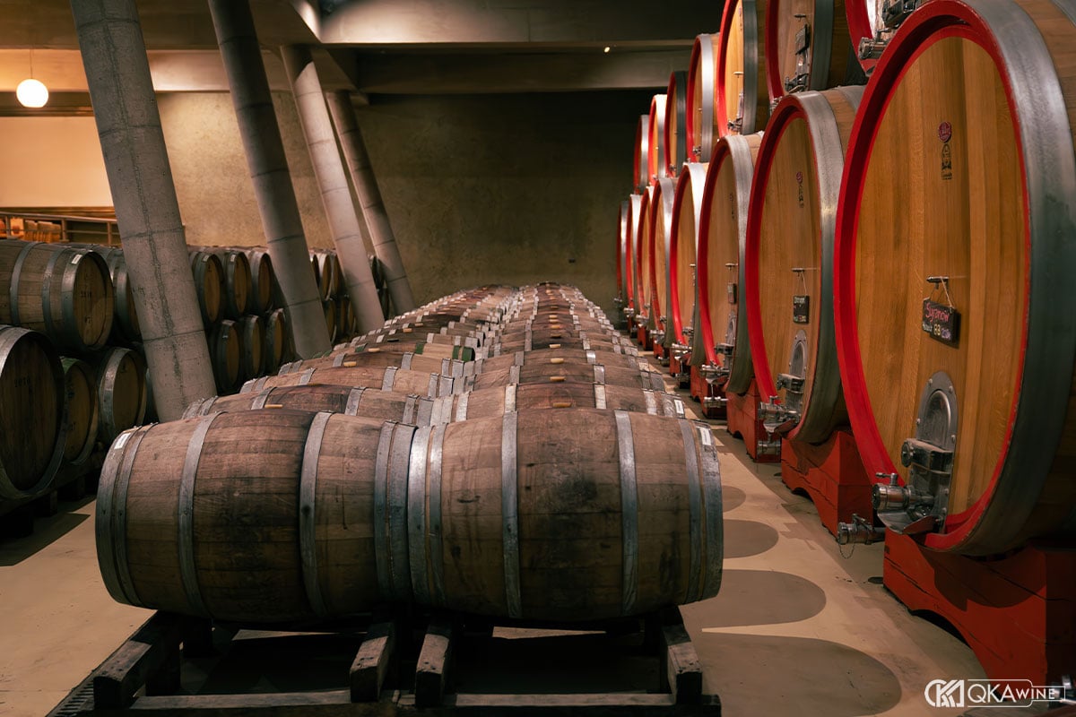 Vùng làm vang Chile nổi bật