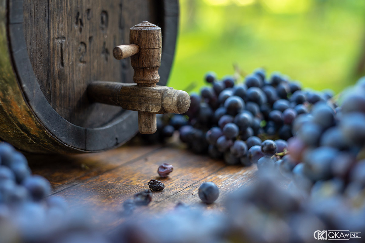 Vùng trồng ảnh hưởng hương vị Cabernet Franc