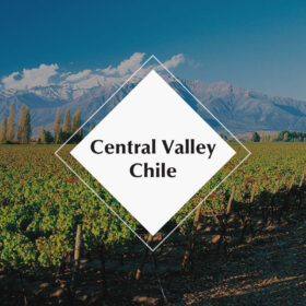 Vùng vang Central Valley Chile