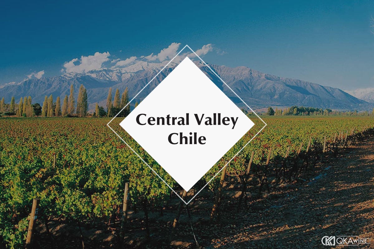 Vùng vang Central Valley Chile