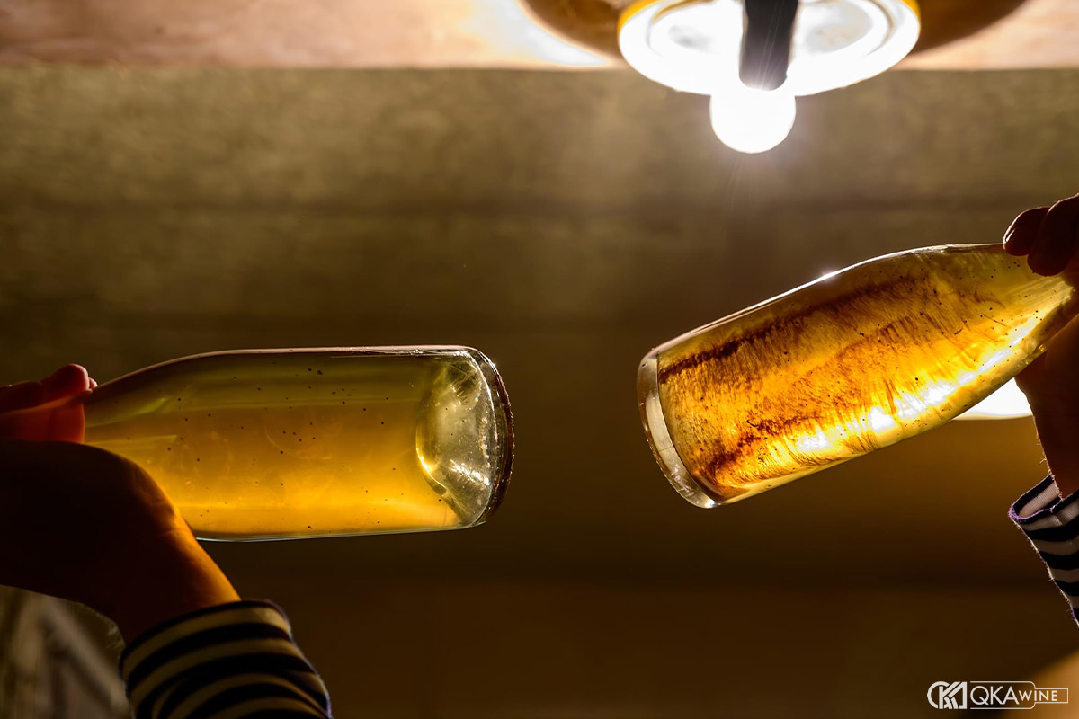 Xác men trong rượu vang là gì?