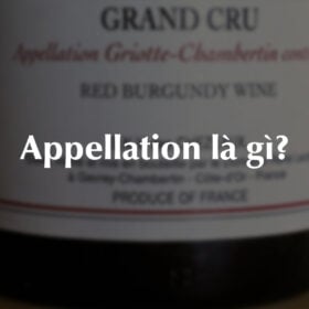 Appellation là gì?