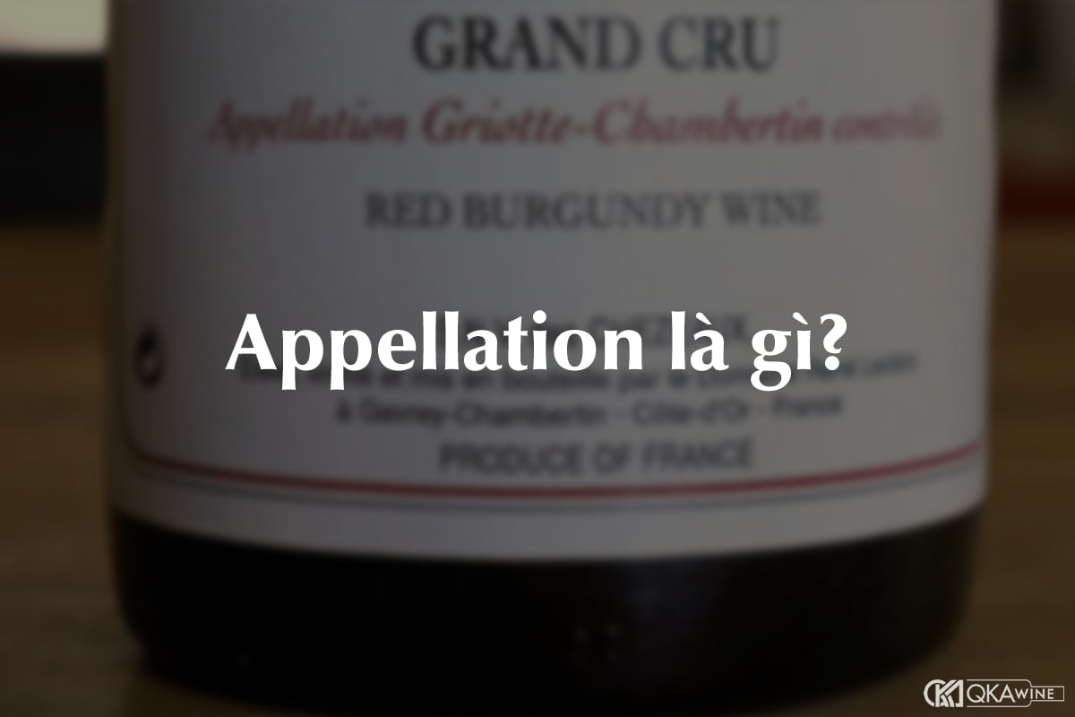 Appellation là gì?
