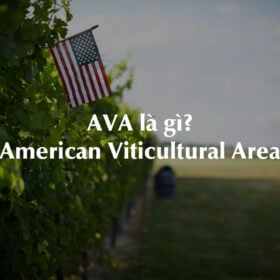 AVA (American Viticultural Area) là gì trong rượu vang?