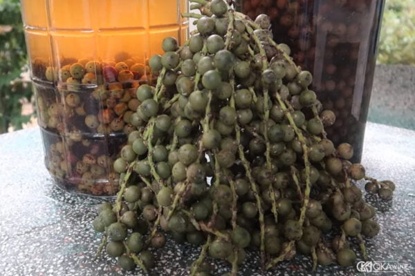 Cách ngâm rượu trái đủng đỉnh
