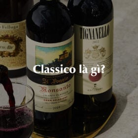 Classico là gì?
