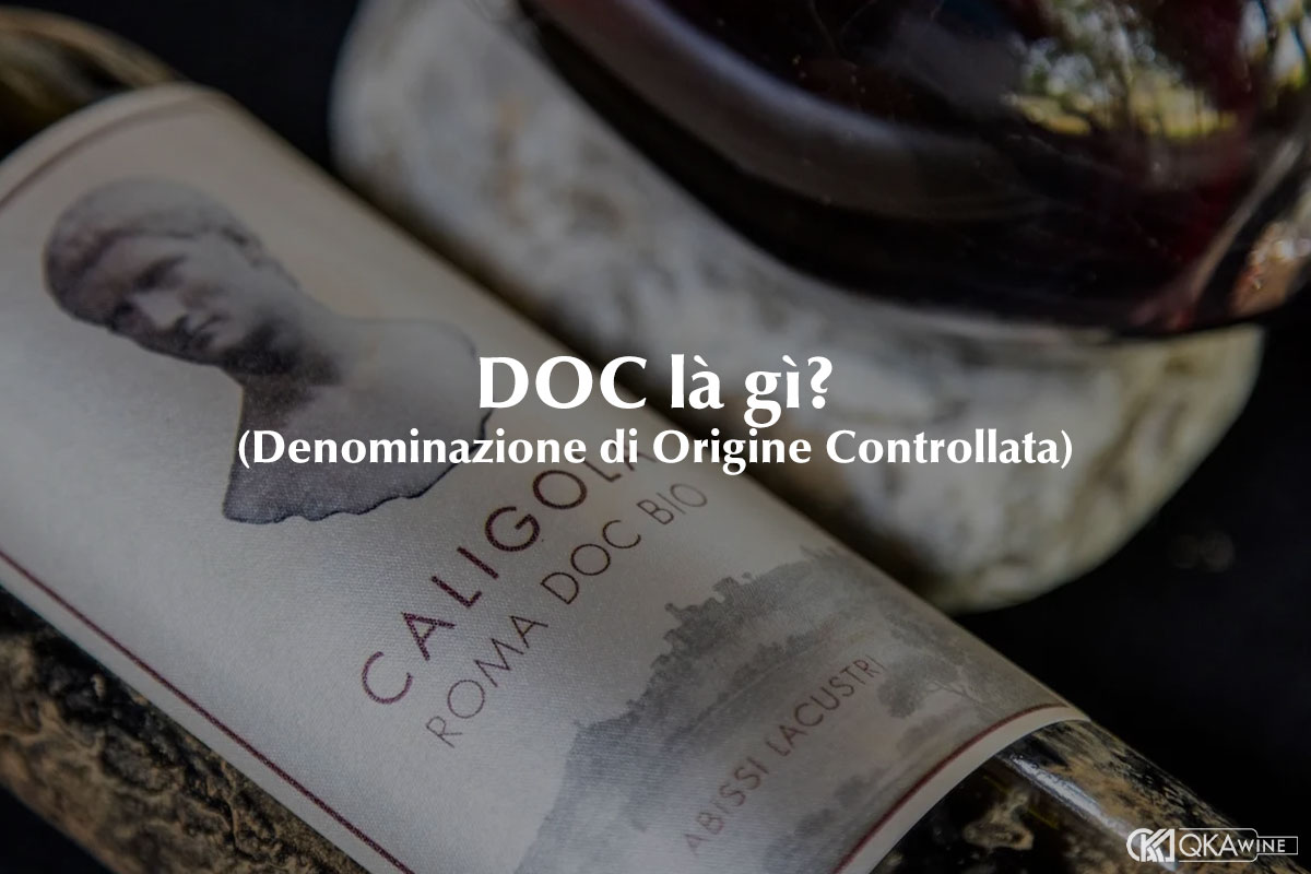 DOC là gì?
