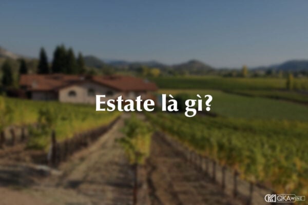 Estate là gì trong rượu vang?