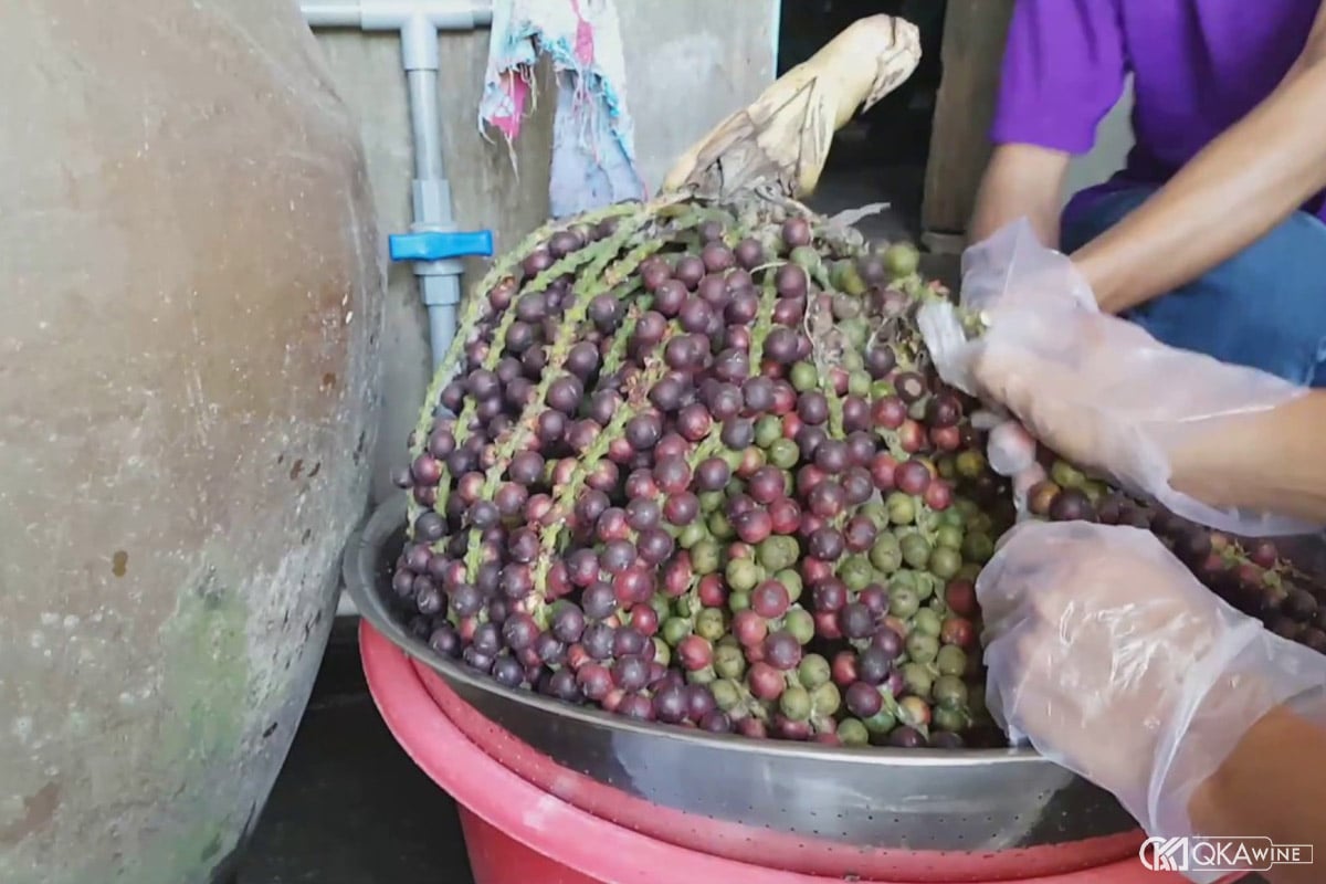 Lưu ý khi sơ chế trái đủng đỉnh