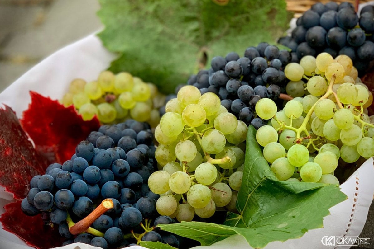 Một chai rượu có thể làm từ một hay nhiều grape variety?