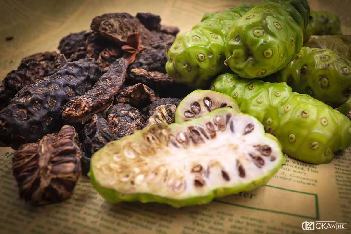 Nên ngâm rượu bằng trái nhàu tươi hay khô?