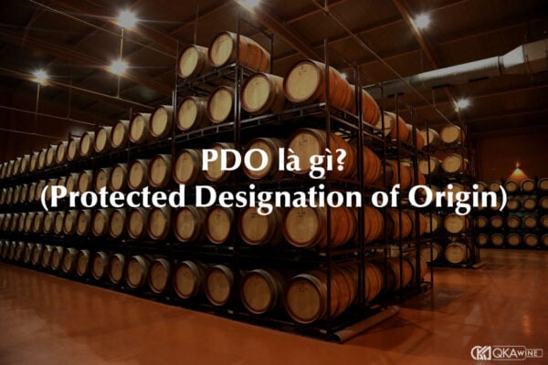 PDO là gì?