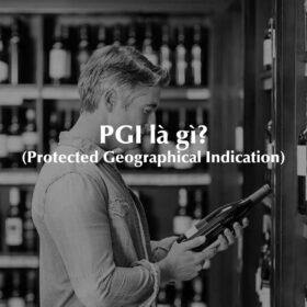 PGI là gì?