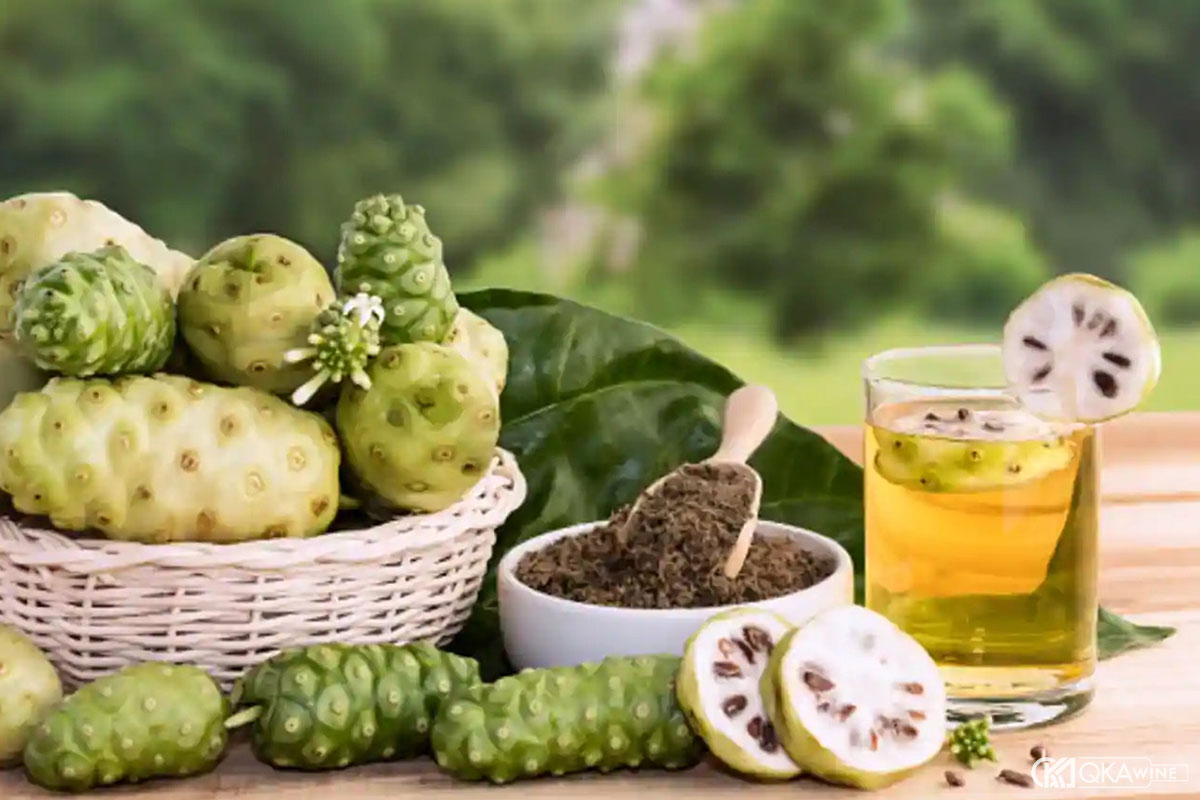 Rượu trái nhàu ngâm bao lâu thì dùng được?