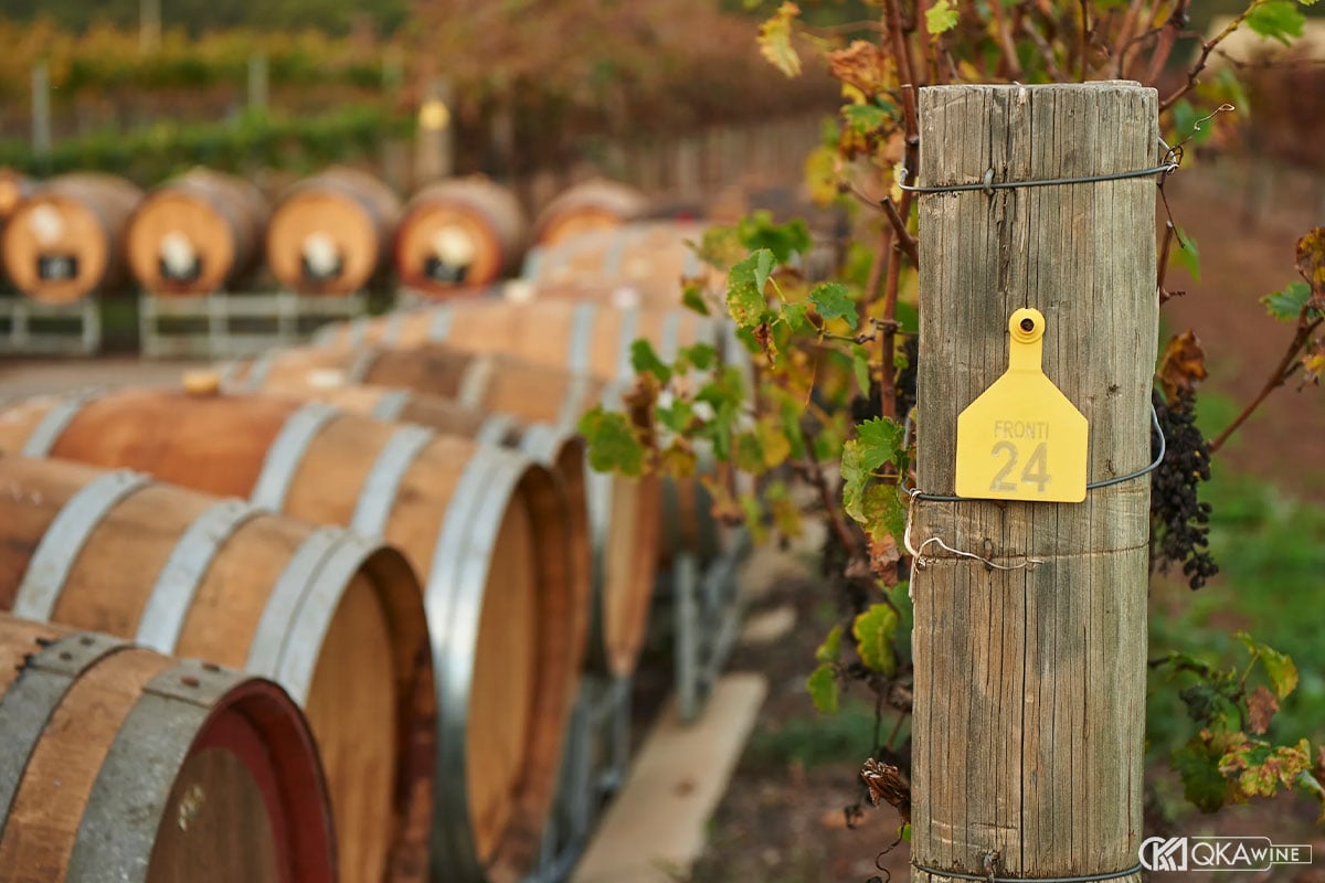 Winery khác gì với vineyard, cellar và estate?