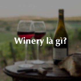 Winery là gì?
