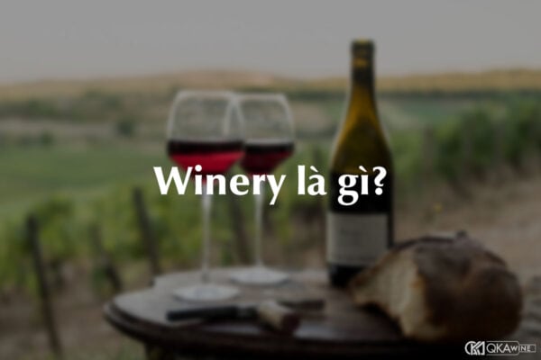 Winery là gì?