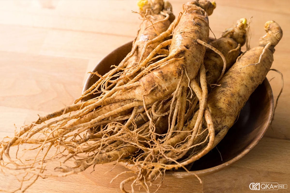 Chọn nguyên liệu ngâm rượu đinh lăng