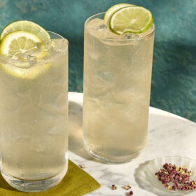 Gin Tonic là gì?
