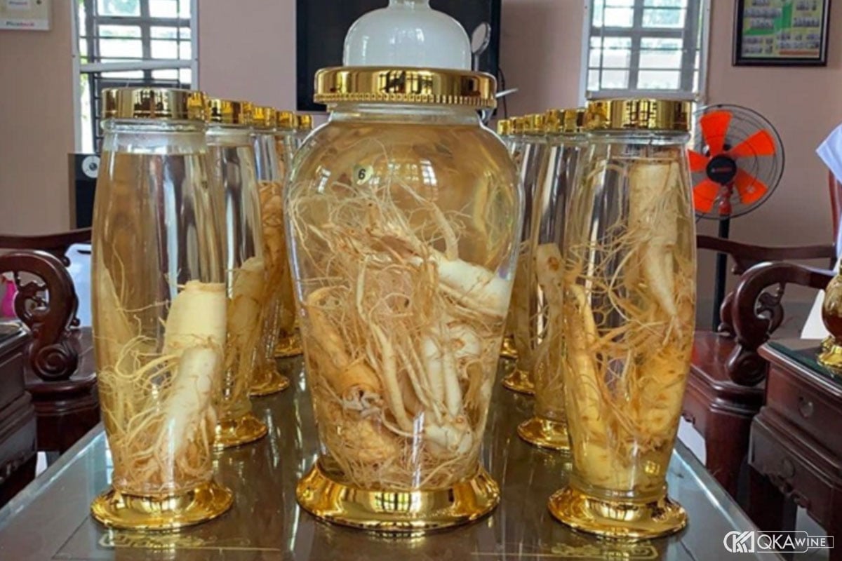 Lỗi thường gặp khi ngâm rượu đinh lăng