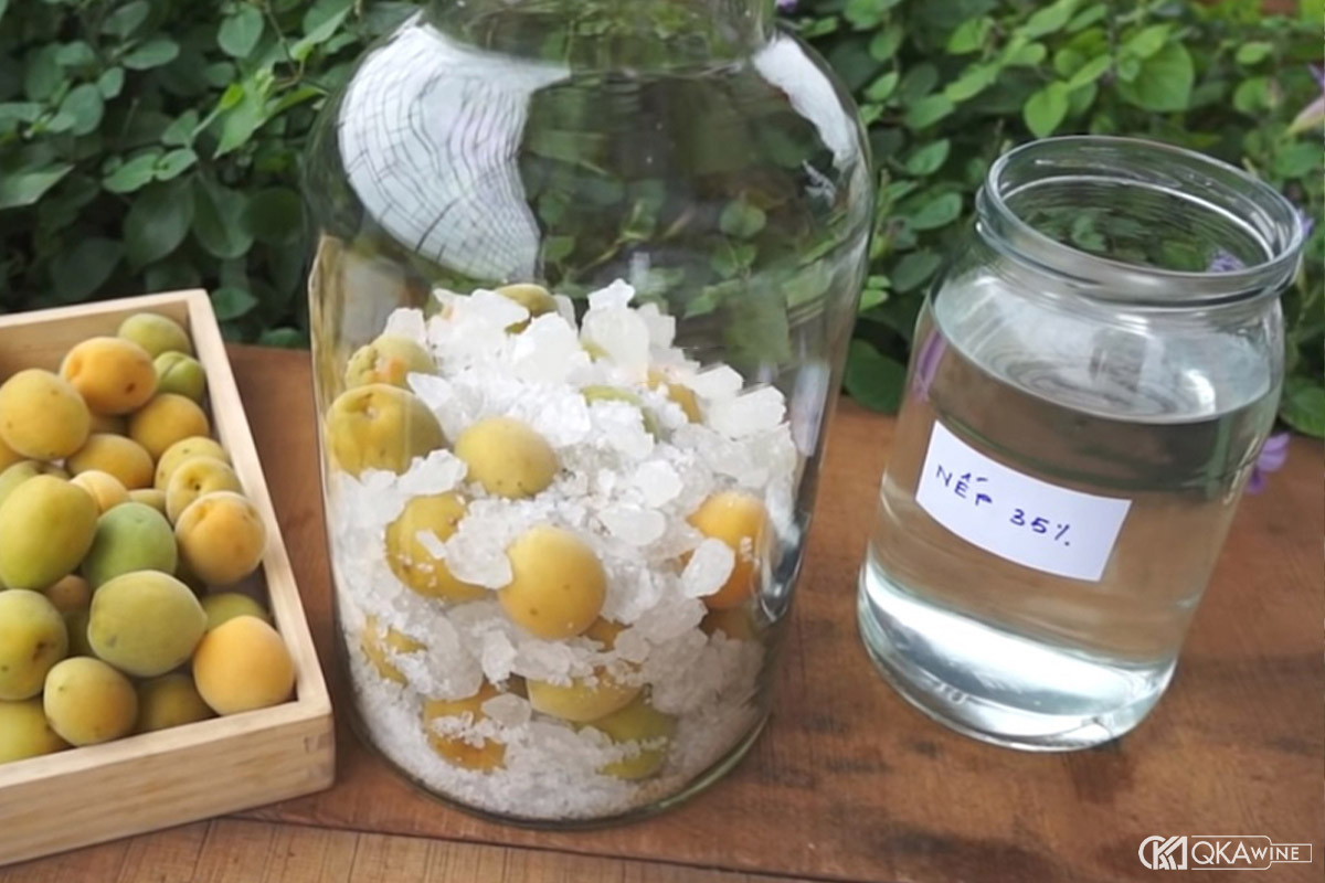 Nguyên liệu và dụng cụ ngâm rượu mơ