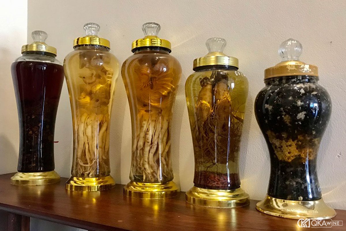 Rượu đinh lăng có tác dụng gì?