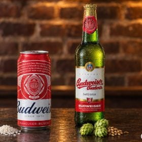 Lon bia Budweiser đỏ cạnh chai Budvar trên quầy gỗ
