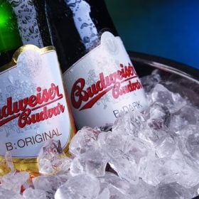 Hai chai Budweiser Budvar B:Original và B:Dark nằm trong xô đá