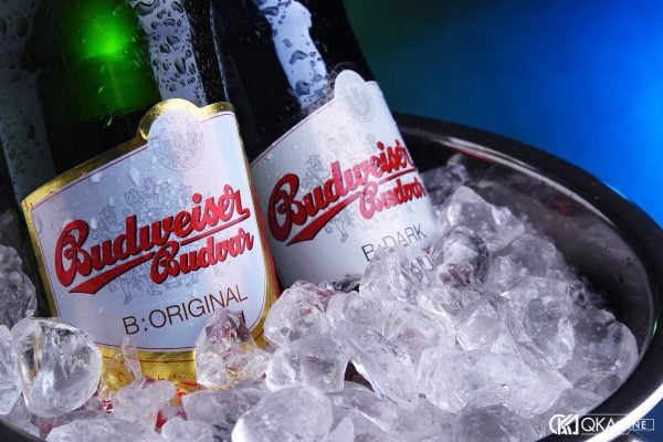 Hai chai Budweiser Budvar B:Original và B:Dark nằm trong xô đá