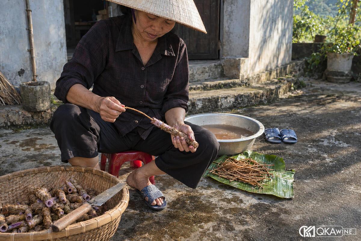 Bàn tay rút lõi củ tím cạnh rổ ba kích đã sơ chế