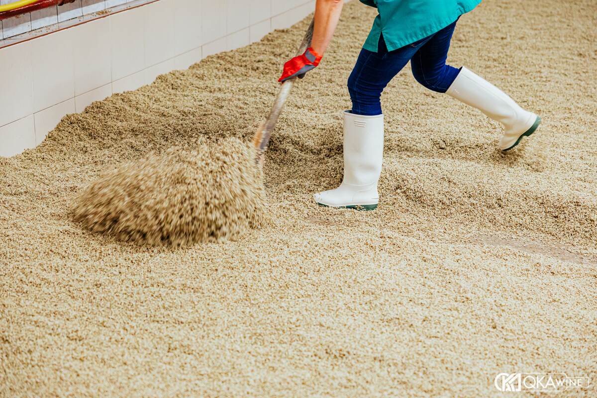 Người thợ dùng xẻng đảo lúa mạch trên sàn ủ malt