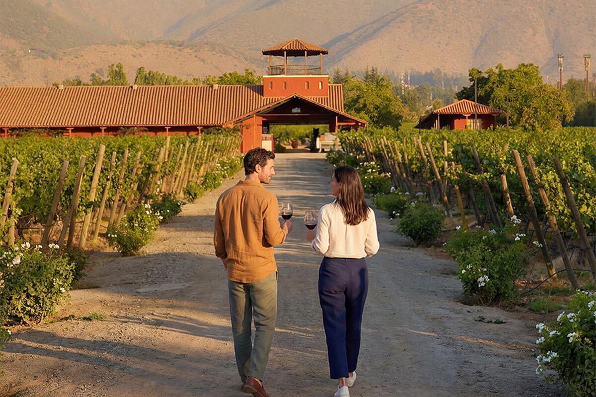 Vườn nho và nhà rượu Viña Aquitania ở Peñalolén, Santiago, dưới chân dãy Andes